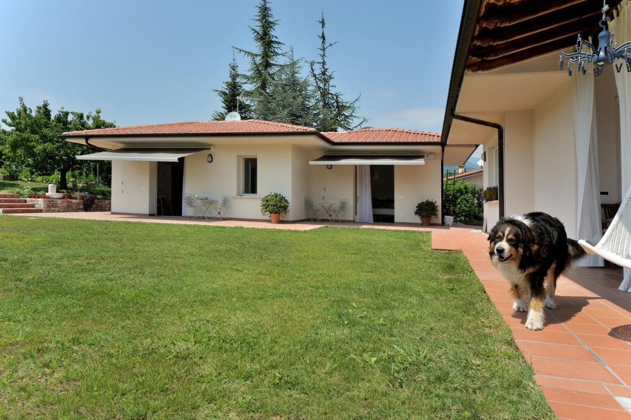 Villa Josephine San Felice del Benaco Kültér fotó